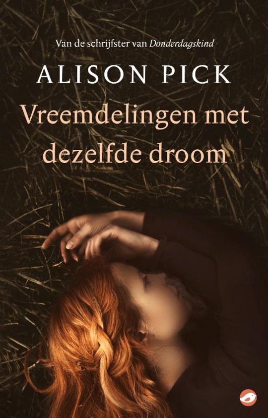 Alison Pick - Vreemdelingen met dezelfde droom