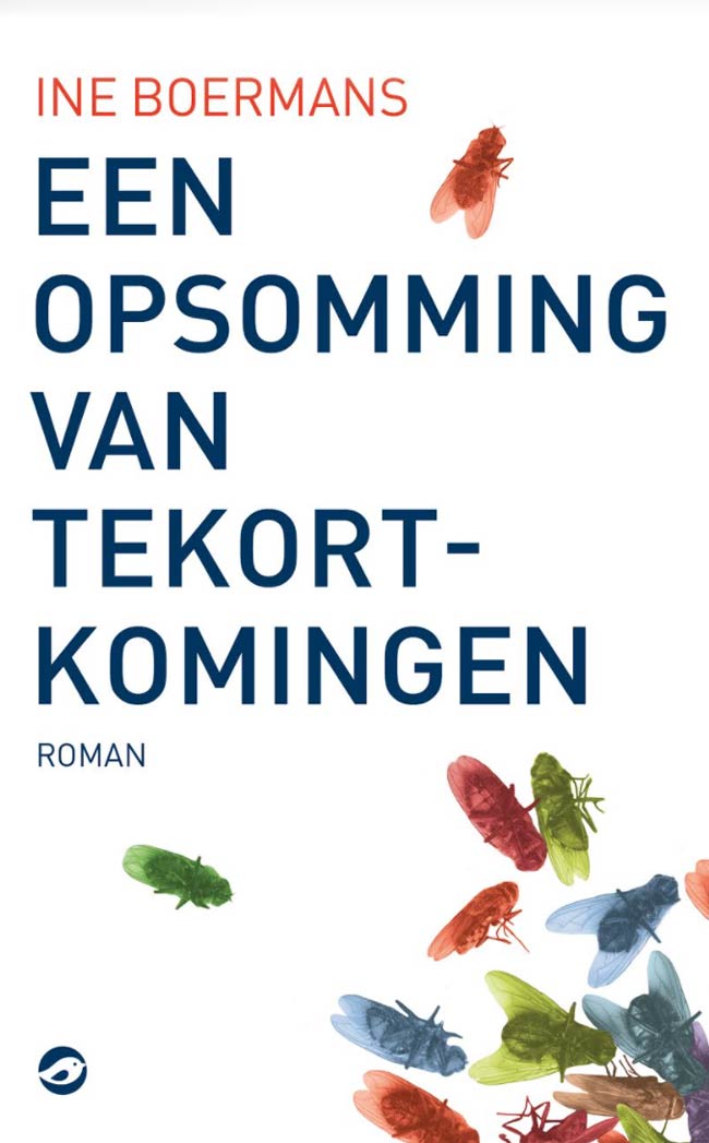 Ine Boermans - Een opsomming van tekortkomingen