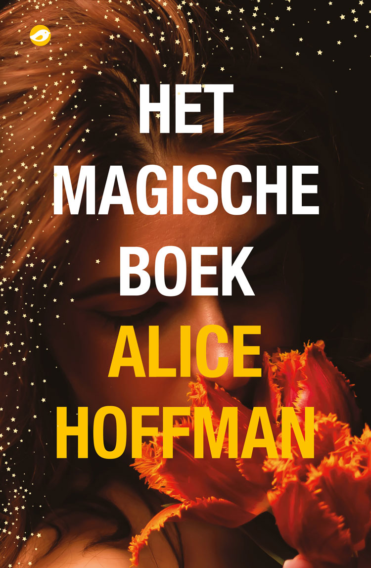 Alice Hoffman - Het magische boek